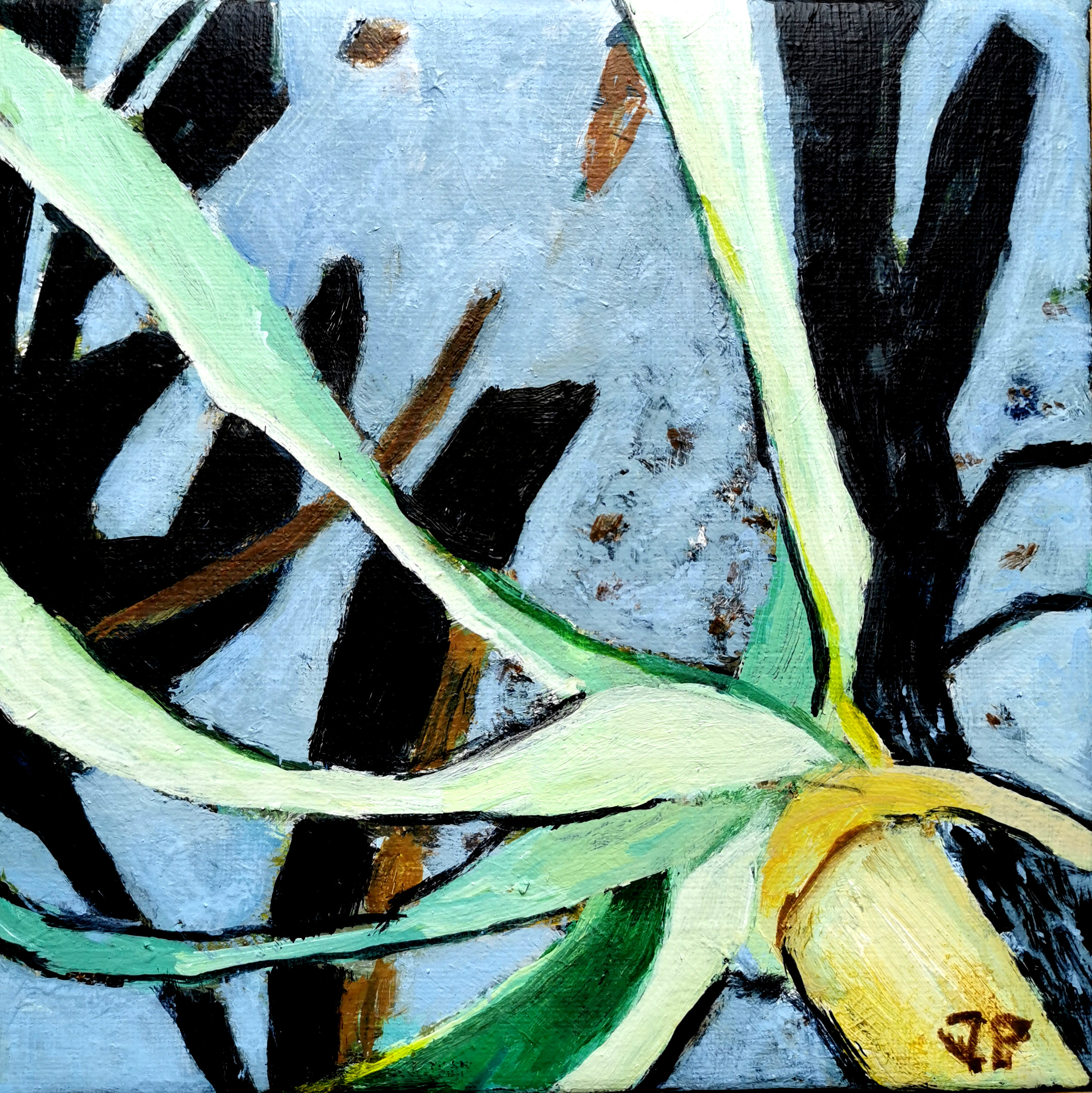 Lille Vildmose 6, 20 x 20