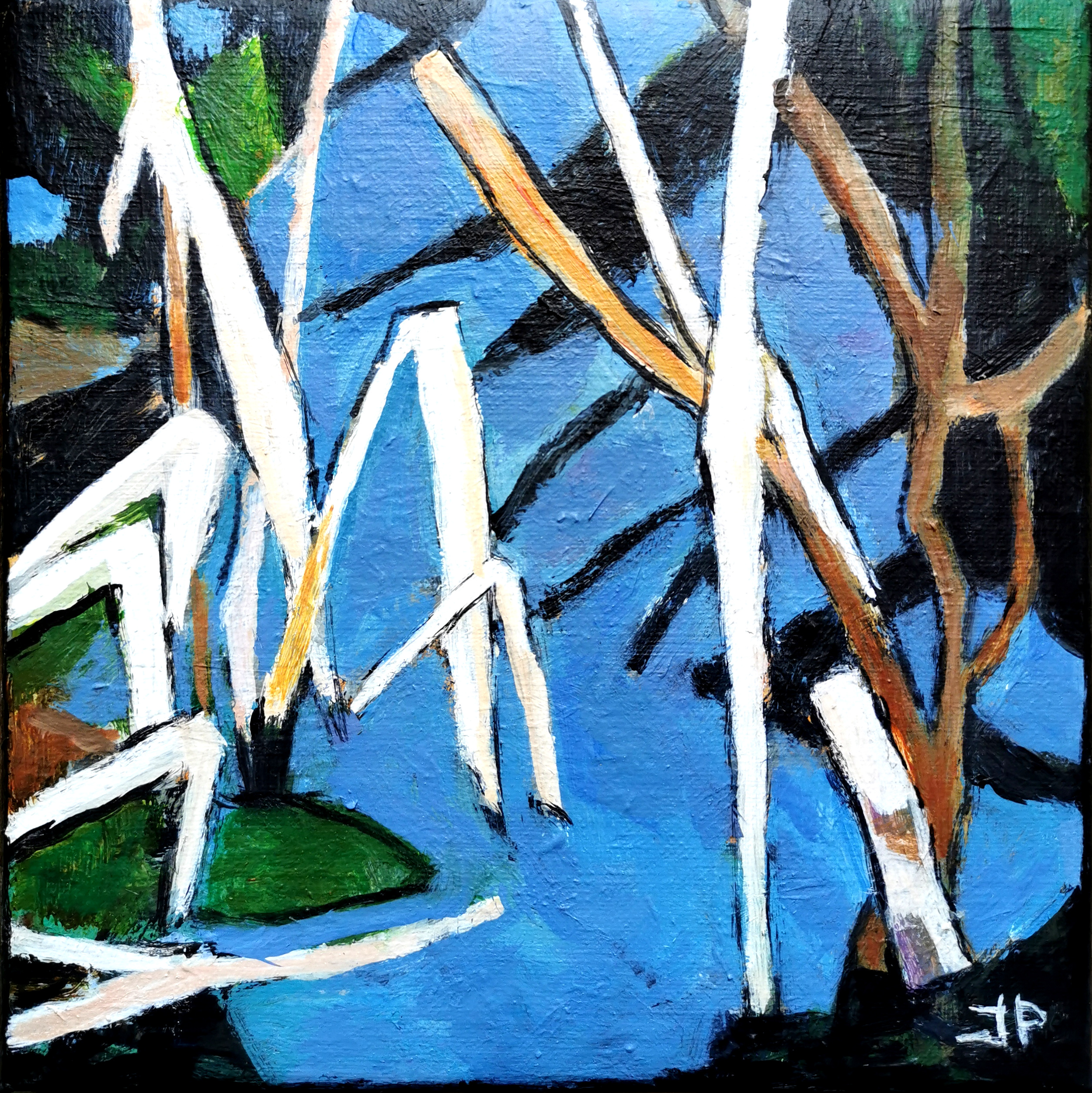 Lille Vildmose 5, 20 x 20