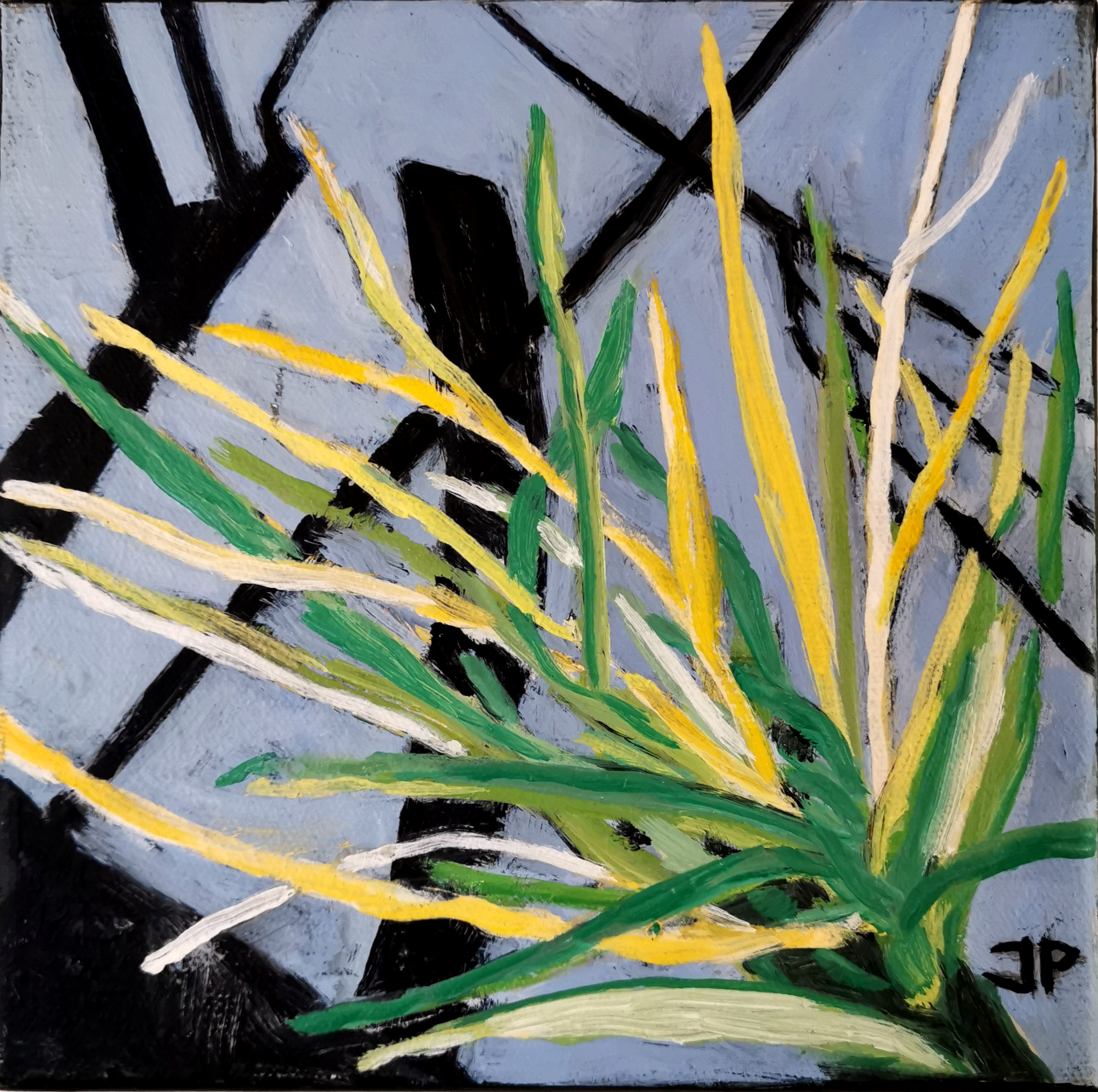 Lille Vildmose 3, 20 x 20