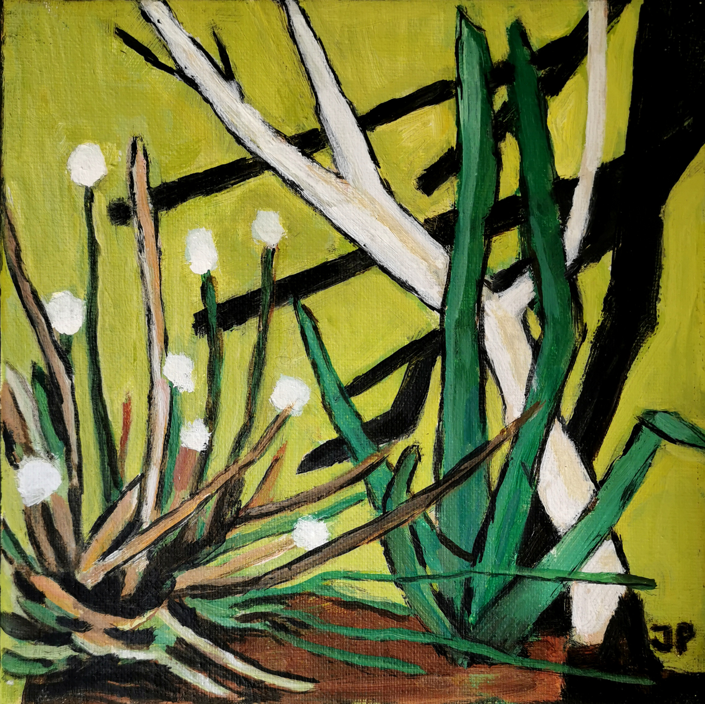 Lille Vildmose 12 20 x 20