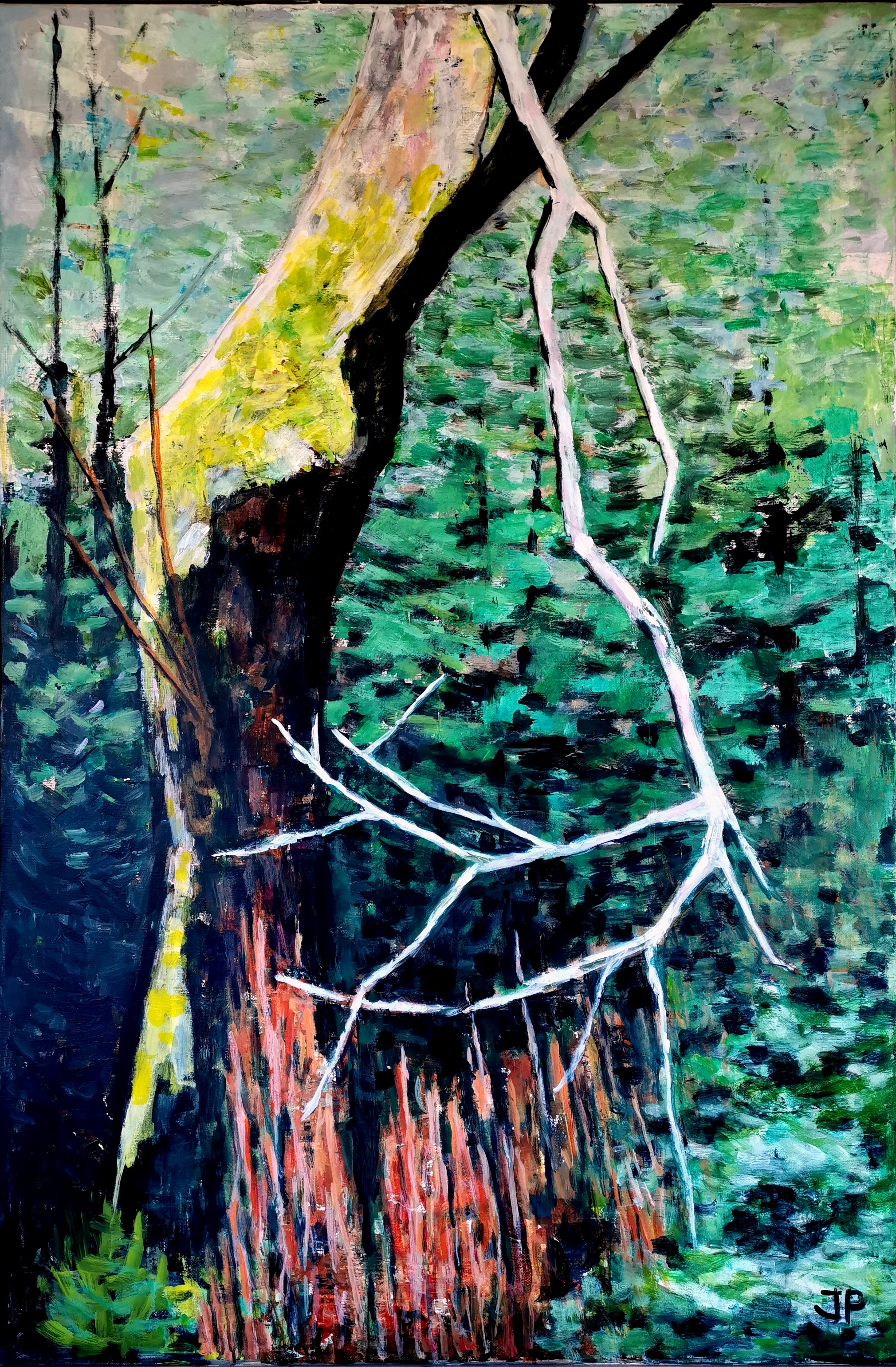 Skovglimt fra Harzen, 120 x 80