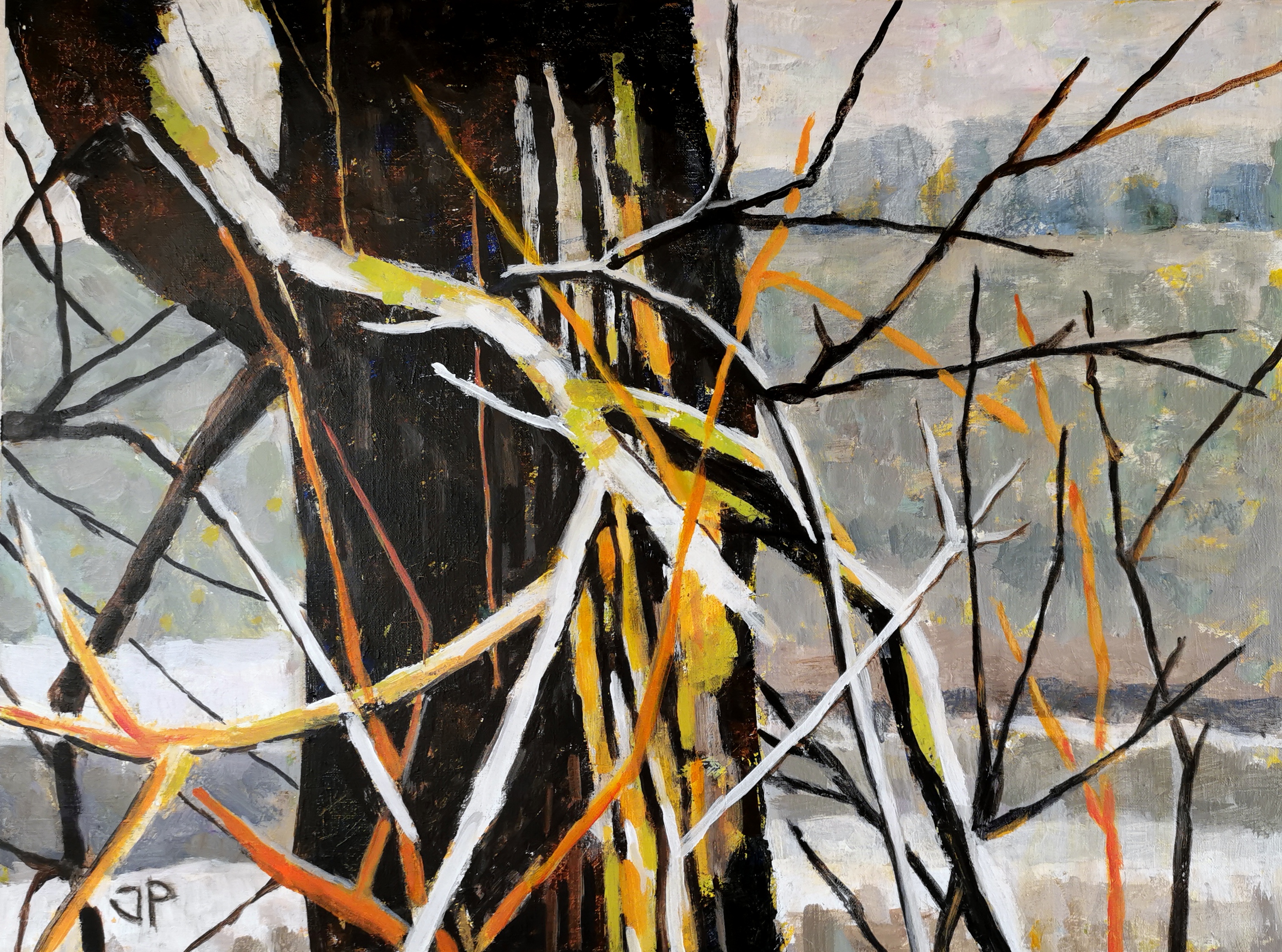 Salix, Belyst, 60 x 80