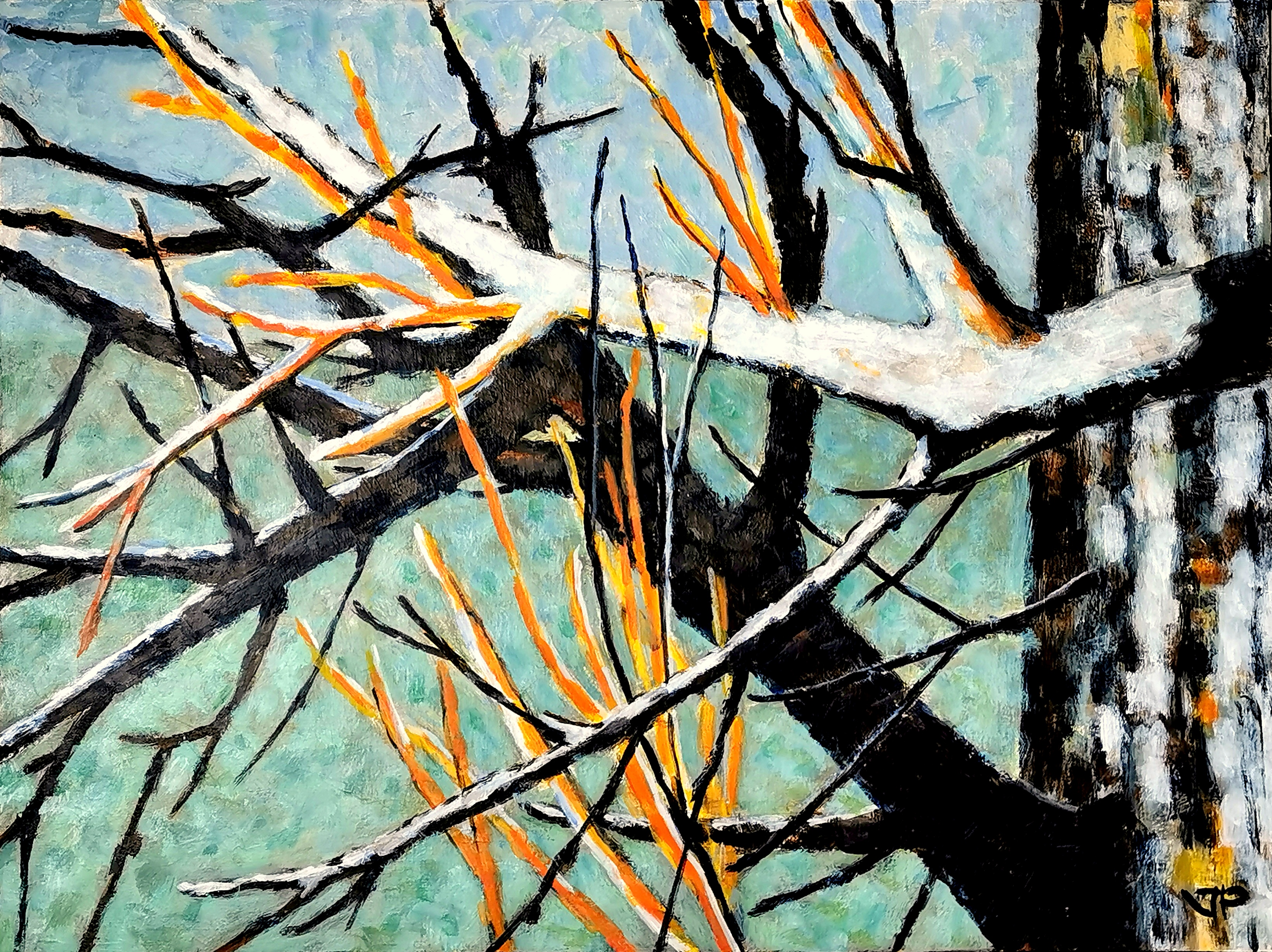 Salix.,Gule kviste 60 X80